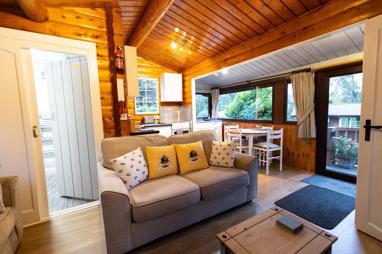 Mountain View Log Cabin In Snowdonia Nr Coed Y Brenin Tanygrisiau Exterior foto